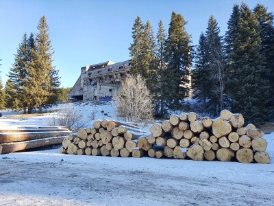 Ovako je izgledala prva javna licitacija cijena drvnih sortimenata na Igmanu