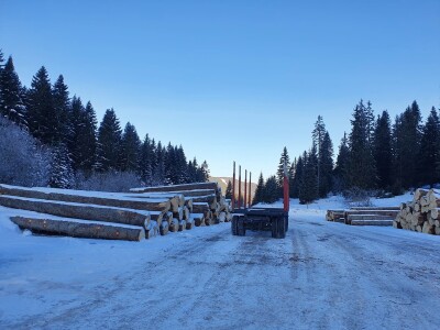 Ovako je izgledala prva javna licitacija cijena drvnih sortimenata na Igmanu