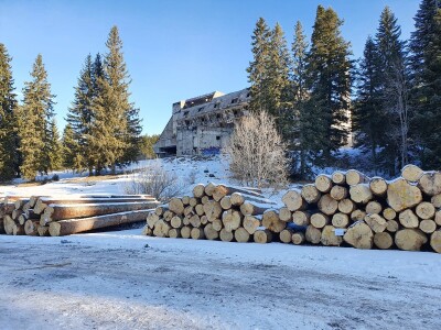 Ovako je izgledala prva javna licitacija cijena drvnih sortimenata na Igmanu