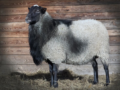 Farma Hacienda de la Vida kod Kiseljaka