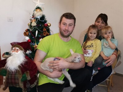 Ovčarstvo isplativo uz podršku države