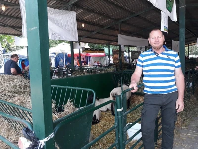 Ovce na 93. Međunarodnom poljoprivrednom sajmu u Novom Sadu