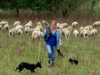 Atraktivni livanjski pašnjaci Atraktivni livanjski pašnjaci