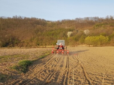 OVE GODINE NAJVIŠE POVRŠINA POD KUKURUZOM BIĆE ZASEJANO U OPTIMALNIM ROKOVIMA OVE GODINE NAJVIŠE POVRŠINA POD KUKURUZOM BIĆE ZASEJANO U OPTIMALNIM ROKOVIMA