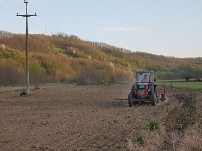 OVE GODINE NAJVIŠE POVRŠINA POD KUKURUZOM BIĆE ZASEJANO U OPTIMALNIM ROKOVIMA OVE GODINE NAJVIŠE POVRŠINA POD KUKURUZOM BIĆE ZASEJANO U OPTIMALNIM ROKOVIMA