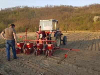 OVE GODINE NAJVIŠE POVRŠINA POD KUKURUZOM BIĆE ZASEJANO U OPTIMALNIM ROKOVIMA OVE GODINE NAJVIŠE POVRŠINA POD KUKURUZOM BIĆE ZASEJANO U OPTIMALNIM ROKOVIMA