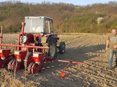 OVE GODINE NAJVIŠE POVRŠINA POD KUKURUZOM BIĆE ZASEJANO U OPTIMALNIM ROKOVIMA OVE GODINE NAJVIŠE POVRŠINA POD KUKURUZOM BIĆE ZASEJANO U OPTIMALNIM ROKOVIMA