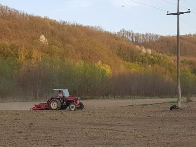 OVE GODINE NAJVIŠE POVRŠINA POD KUKURUZOM BIĆE ZASEJANO U OPTIMALNIM ROKOVIMA OVE GODINE NAJVIŠE POVRŠINA POD KUKURUZOM BIĆE ZASEJANO U OPTIMALNIM ROKOVIMA