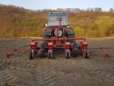 OVE GODINE NAJVIŠE POVRŠINA POD KUKURUZOM BIĆE ZASEJANO U OPTIMALNIM ROKOVIMA OVE GODINE NAJVIŠE POVRŠINA POD KUKURUZOM BIĆE ZASEJANO U OPTIMALNIM ROKOVIMA