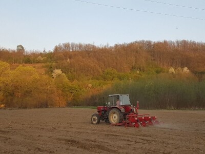OVE GODINE NAJVIŠE POVRŠINA POD KUKURUZOM BIĆE ZASEJANO U OPTIMALNIM ROKOVIMA OVE GODINE NAJVIŠE POVRŠINA POD KUKURUZOM BIĆE ZASEJANO U OPTIMALNIM ROKOVIMA