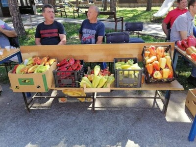 Ove godine slabi prinosi ali je dobra cena