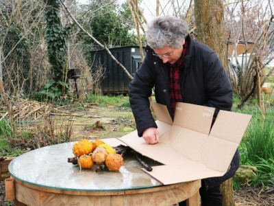 Ovim načinom vrtlarenja pokušavamo stvoriti što bolji suživot prirode i čovjeka te promicati održivi način uzgoja hrane