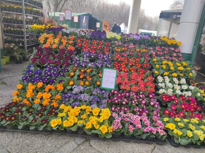 Ovoren 28. Osječki proljetni sajam