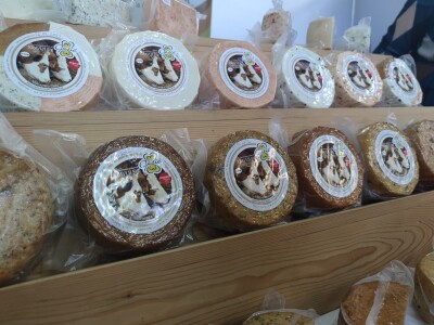 Ovoren 28. Osječki proljetni sajam