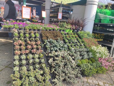 Ovoren 28. Osječki proljetni sajam