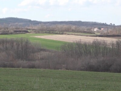 Ozimi usevi dobro preživeli „zimu“