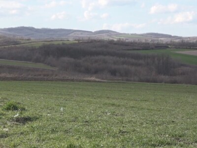 Ozimi usevi dobro preživeli „zimu“