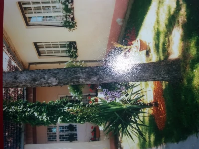 OZZ Livade