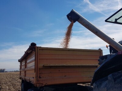 P0943 najboji u Podrinju