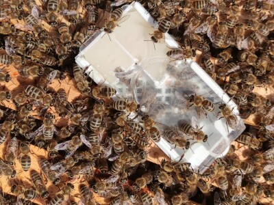 Moje pravilo je "Sve za kvalitet, a kvalitet ni za šta ne dam"