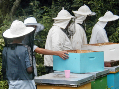 Učeničko zadrugarstvo