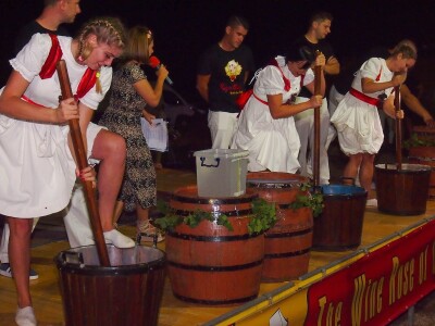 Vinska kuća Pavlomir