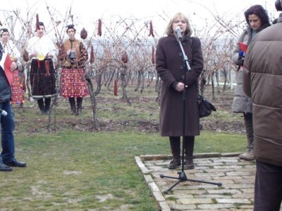 Vinceška 2012. Vina Belje