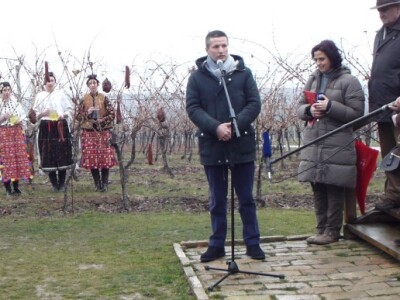 Vinceška 2012. Vina Belje