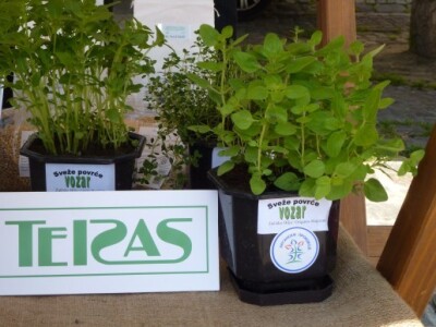 Organski uzgajivači iz okolice Subotice, okupljeni oko Udruženja Terras