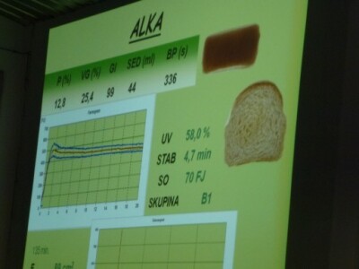 Predstavljanje i upoznavanje sorti pšenica i ječma