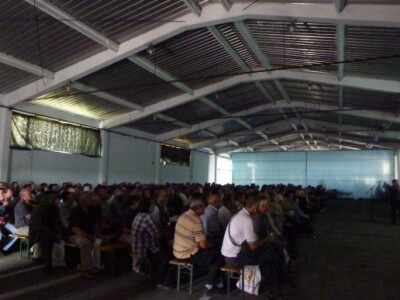 Predstavljanje i upoznavanje sorti pšenica i ječma