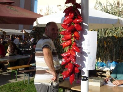 13. Međunarodni etno susreti u Bilju