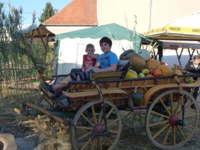 13. Međunarodni etno susreti u Bilju