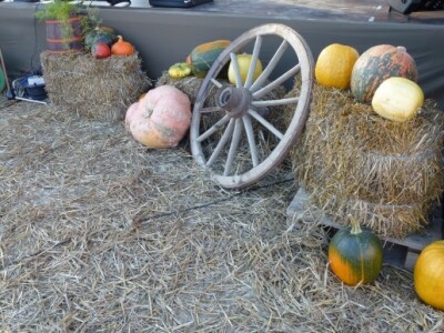 13. Međunarodni etno susreti u Bilju