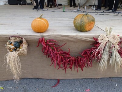 14. Ribarski dani u Kopačevu