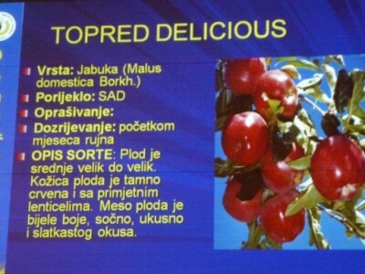 O novim sortama u proizvodnom programu Poljoprivrednog instituta Osijek govorio je Krunoslav Dugalić, dipl.ing.