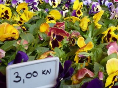 15. Osječki jesenski sajam