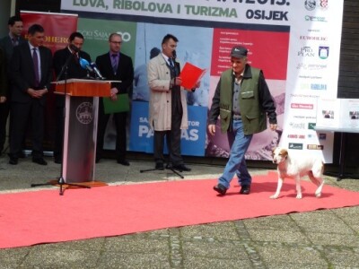 Izložba lovačkih pasa