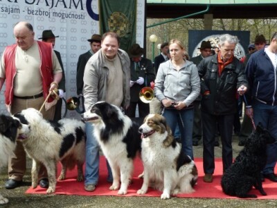 Izložba lovačkih pasa