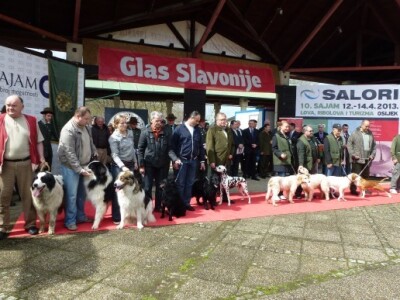 Izložba lovačkih pasa