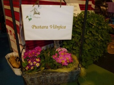 Izložben prostor: Pustara Višnjica