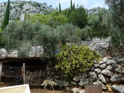 Raznovrsne životinje veliko su bogatstvo!