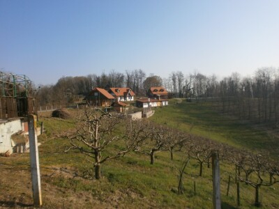 Sve što stane u objektiv je Zaboky selo