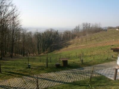 Pogled prema vinogradu, voćnjacima i šumi