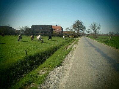 Ratarske površine danas su pašnjaci