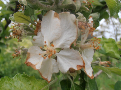 Odštete od elementarnih nepogoda Odštete od elementarnih nepogoda