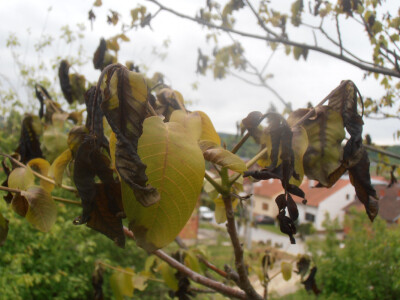 Odštete od elementarnih nepogoda Odštete od elementarnih nepogoda