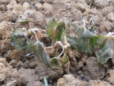 Odštete od elementarnih nepogoda Odštete od elementarnih nepogoda