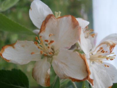 Odštete od elementarnih nepogoda Odštete od elementarnih nepogoda