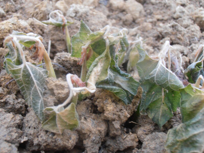 Odštete od elementarnih nepogoda Odštete od elementarnih nepogoda